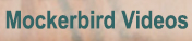 Harlan R. Sandidge:  Mockerbird Videos
